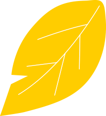 FEUILLE-JAUNE.png