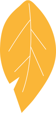 FEUILLE-ORANGEpng
